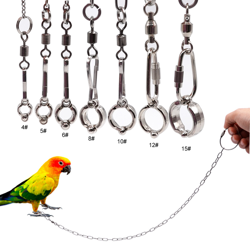 Roestvrijstalen papegaaienbeen - Anklet Foot Chain recensie en prijs